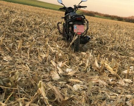 Лифан Другая, объемом двигателя 0.2 л и пробегом 0 тыс. км за 1050 $, фото 1 на Automoto.ua