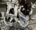 Лифан Другая 2025 в Сарнах на Automoto.ua Лифан Другая, объемом двигателя 0.2 л и пробегом 0 тыс. км за 1650 $, фото 2 на Automoto.ua