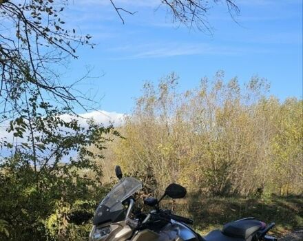 Ліфан Інша, об'ємом двигуна 0.2 л та пробігом 0 тис. км за 1399 $, фото 2 на Automoto.ua