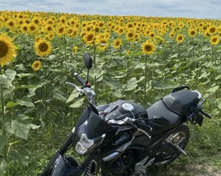 Лифан Другая, объемом двигателя 0.25 л и пробегом 0 тыс. км за 1450 $, фото 4 на Automoto.ua