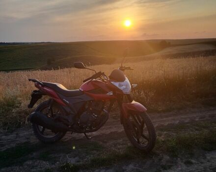 Лифан Другая, объемом двигателя 0.15 л и пробегом 0 тыс. км за 736 $, фото 4 на Automoto.ua