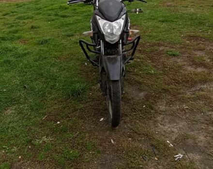 Лифан Другая, объемом двигателя 0.15 л и пробегом 0 тыс. км за 621 $, фото 3 на Automoto.ua