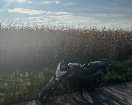 Ліфан Інша, об'ємом двигуна 0.18 л та пробігом 0 тис. км за 800 $, фото 3 на Automoto.ua