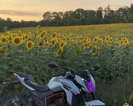 Лифан Другая, объемом двигателя 0.25 л и пробегом 0 тыс. км за 1700 $, фото 6 на Automoto.ua