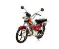 Лифан Другая, объемом двигателя 49 л и пробегом 0 тыс. км за 25000 $, фото 1 на Automoto.ua