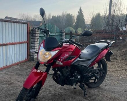 Лифан Другая, объемом двигателя 0.15 л и пробегом 0 тыс. км за 600 $, фото 4 на Automoto.ua