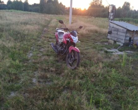 Лифан Другая, объемом двигателя 0.15 л и пробегом 0 тыс. км за 1099 $, фото 1 на Automoto.ua