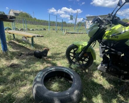 Лифан Другая, объемом двигателя 0.2 л и пробегом 0 тыс. км за 1100 $, фото 2 на Automoto.ua