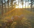 Ліфан Інша, об'ємом двигуна 0.15 л та пробігом 0 тис. км за 802 $, фото 2 на Automoto.ua