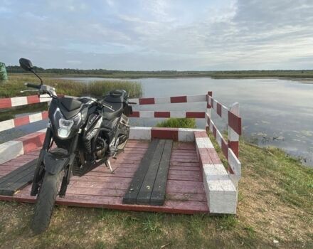 Лифан Другая, объемом двигателя 0.25 л и пробегом 0 тыс. км за 2200 $, фото 11 на Automoto.ua