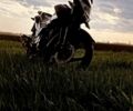 Лифан Другая, объемом двигателя 0.15 л и пробегом 0 тыс. км за 848 $, фото 4 на Automoto.ua