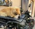Ліфан Інша, об'ємом двигуна 0.2 л та пробігом 0 тис. км за 1200 $, фото 1 на Automoto.ua
