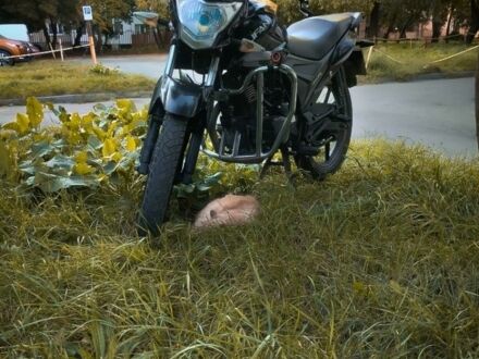 Лифан Другая, объемом двигателя 0.15 л и пробегом 0 тыс. км за 850 $, фото 1 на Automoto.ua