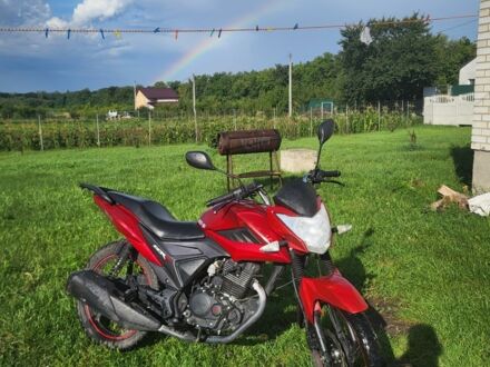 Лифан Другая 2019 в Белой Церкве на Automoto.ua Лифан Другая, объемом двигателя 0.15 л и пробегом 0 тыс. км за 736 $, фото 1 на Automoto.ua