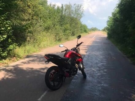 Лифан Другая 2020 в Житомире на Automoto.ua Лифан Другая, объемом двигателя 0.2 л и пробегом 0 тыс. км за 969 $, фото 1 на Automoto.ua