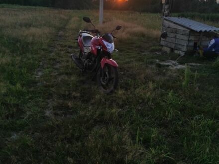 Лифан Другая, объемом двигателя 0.15 л и пробегом 0 тыс. км за 1099 $, фото 1 на Automoto.ua