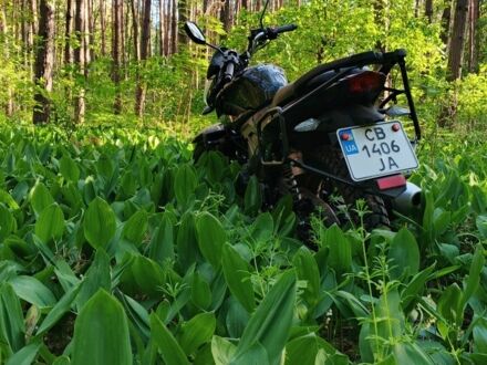 Ліфан Інша 2022 у Нежине на Automoto.ua Ліфан Інша, об'ємом двигуна 6 л та пробігом 0 тис. км за 847 $, фото 1 на Automoto.ua