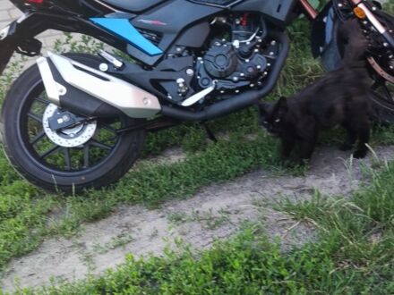 Ліфан Інша, об'ємом двигуна 0.2 л та пробігом 0 тис. км за 1727 $, фото 1 на Automoto.ua