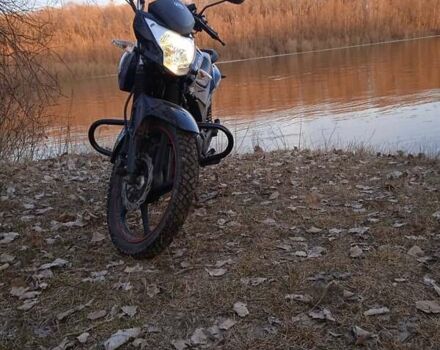 Ліфан LF150-2E, об'ємом двигуна 0 л та пробігом 11 тис. км за 722 $, фото 3 на Automoto.ua