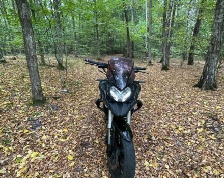 Лифан LF200-10B, объемом двигателя 0.2 л и пробегом 0 тыс. км за 740 $, фото 4 на Automoto.ua