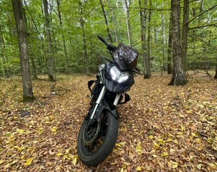 Лифан LF200-10B, объемом двигателя 0.2 л и пробегом 0 тыс. км за 740 $, фото 3 на Automoto.ua