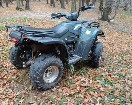 Линхай 250, объемом двигателя 0.25 л и пробегом 0 тыс. км за 2100 $, фото 3 на Automoto.ua