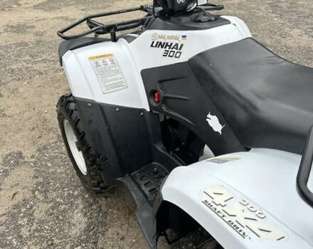 Білий Лінхай 300, об'ємом двигуна 0.3 л та пробігом 9 тис. км за 2650 $, фото 3 на Automoto.ua