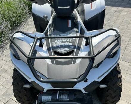 Білий Лінхай 300, об'ємом двигуна 0 л та пробігом 1 тис. км за 3000 $, фото 3 на Automoto.ua