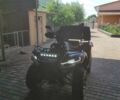 Черный Линхай 300, объемом двигателя 0.3 л и пробегом 5 тыс. км за 4200 $, фото 8 на Automoto.ua