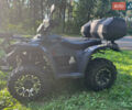 Лінхай 300, об'ємом двигуна 0.3 л та пробігом 2 тис. км за 4200 $, фото 2 на Automoto.ua