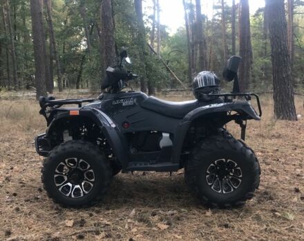 Лінхай 300, об'ємом двигуна 0.3 л та пробігом 0 тис. км за 3500 $, фото 2 на Automoto.ua