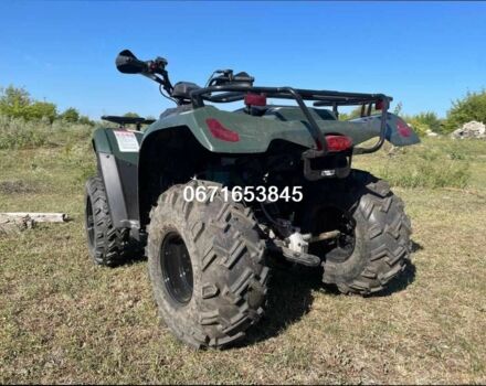 Линхай 300, объемом двигателя 0 л и пробегом 0 тыс. км за 3900 $, фото 6 на Automoto.ua