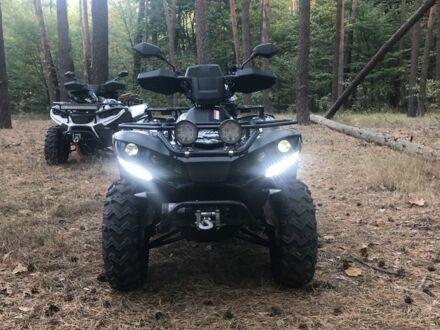 Линхай 300, объемом двигателя 0.3 л и пробегом 0 тыс. км за 3500 $, фото 1 на Automoto.ua