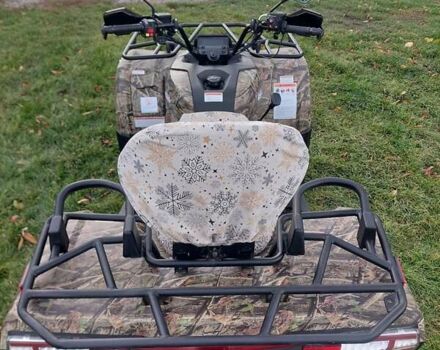 Лінхай 500, об'ємом двигуна 0 л та пробігом 1 тис. км за 4500 $, фото 2 на Automoto.ua