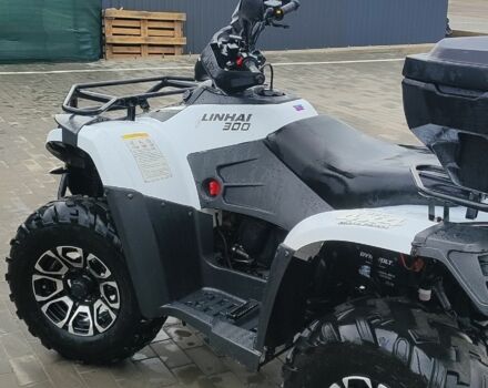 Лінхай Інша, об'ємом двигуна 0.3 л та пробігом 0 тис. км за 2906 $, фото 4 на Automoto.ua
