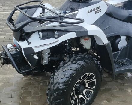 Лінхай Інша, об'ємом двигуна 0.3 л та пробігом 0 тис. км за 2906 $, фото 5 на Automoto.ua