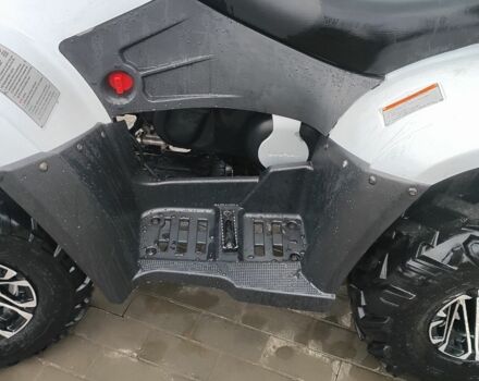 Лінхай Інша, об'ємом двигуна 0.3 л та пробігом 0 тис. км за 2906 $, фото 6 на Automoto.ua