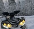 Линхай Другая, объемом двигателя 0.3 л и пробегом 0 тыс. км за 3650 $, фото 1 на Automoto.ua