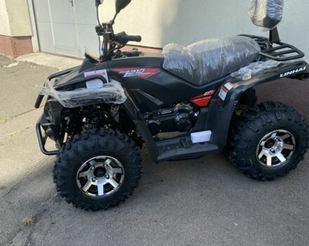 Лінхай Інша, об'ємом двигуна 0.2 л та пробігом 0 тис. км за 2898 $, фото 3 на Automoto.ua