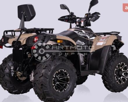 Линхай LH300-D EFI Promax, объемом двигателя 0.28 л и пробегом 0 тыс. км за 4990 $, фото 8 на Automoto.ua