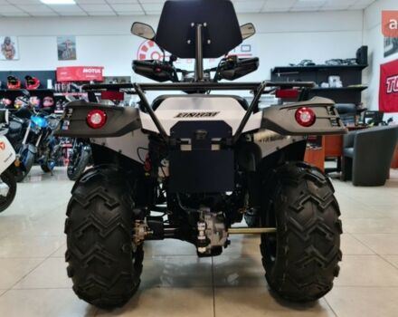 Линхай LH 300ATV-D, объемом двигателя 0.28 л и пробегом 0 тыс. км за 4650 $, фото 8 на Automoto.ua