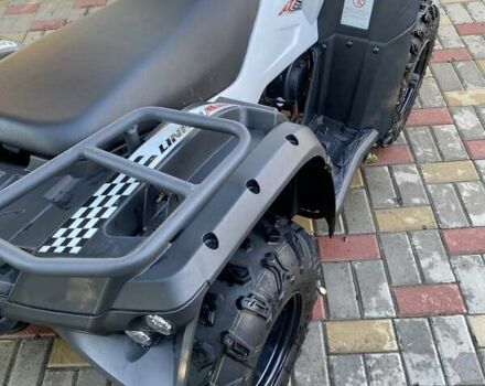 Білий Лінхай M 150, об'ємом двигуна 0 л та пробігом 1 тис. км за 1750 $, фото 8 на Automoto.ua