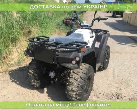 Линхай M 150, объемом двигателя 0.15 л и пробегом 0 тыс. км за 2400 $, фото 5 на Automoto.ua