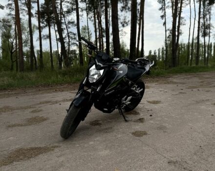 Лонкин 2105, объемом двигателя 0.25 л и пробегом 0 тыс. км за 50000 $, фото 1 на Automoto.ua