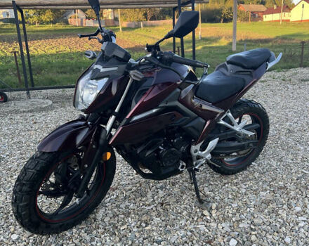 Красный Лонкин 250CC, объемом двигателя 0.25 л и пробегом 16 тыс. км за 1400 $, фото 1 на Automoto.ua
