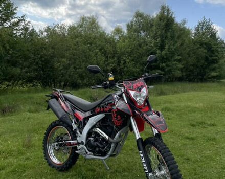 Лонкин 250CC, объемом двигателя 0 л и пробегом 12 тыс. км за 1600 $, фото 4 на Automoto.ua