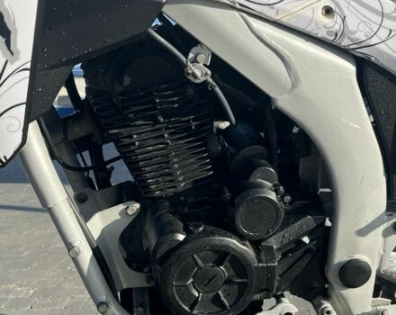 Лонкин 3302, объемом двигателя 0.25 л и пробегом 0 тыс. км за 1350 $, фото 6 на Automoto.ua
