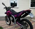 Лонкін 3302, об'ємом двигуна 0.25 л та пробігом 0 тис. км за 1600 $, фото 1 на Automoto.ua