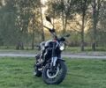 Лонкин 3302, объемом двигателя 0.29 л и пробегом 0 тыс. км за 1850 $, фото 18 на Automoto.ua