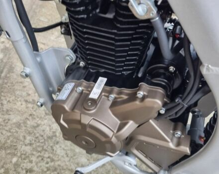 Лонкин 3302, объемом двигателя 0.25 л и пробегом 0 тыс. км за 2250 $, фото 9 на Automoto.ua